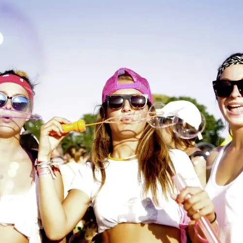 Vieilles Charrues 2014