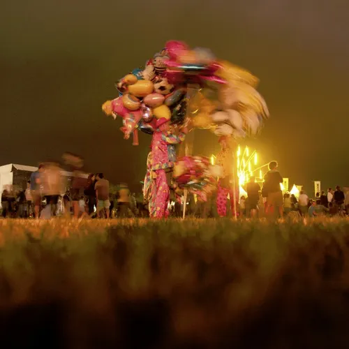 Vieilles Charrues 2014