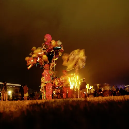 Vieilles Charrues 2014