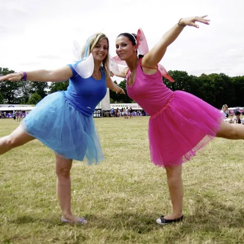 Vieilles Charrues 2014