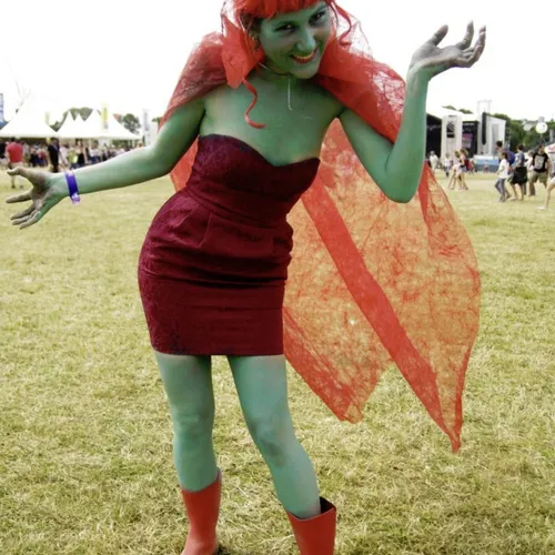 Vieilles Charrues 2014