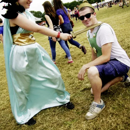 Vieilles Charrues 2014