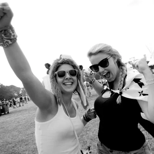 Vieilles Charrues 2014