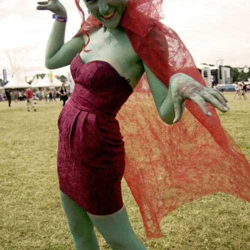 Vieilles Charrues 2014