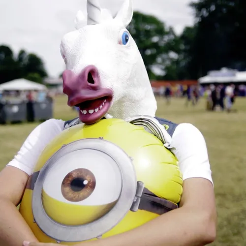 Vieilles Charrues 2014