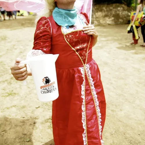 Vieilles Charrues 2014