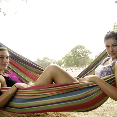 Vieilles Charrues 2014