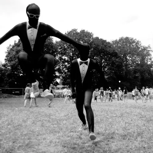 Vieilles Charrues 2014