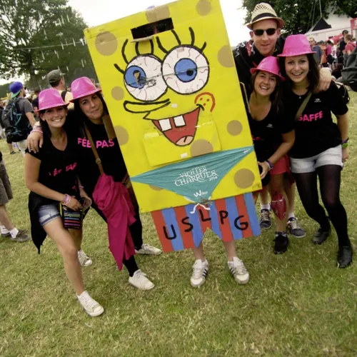 Vieilles Charrues 2014