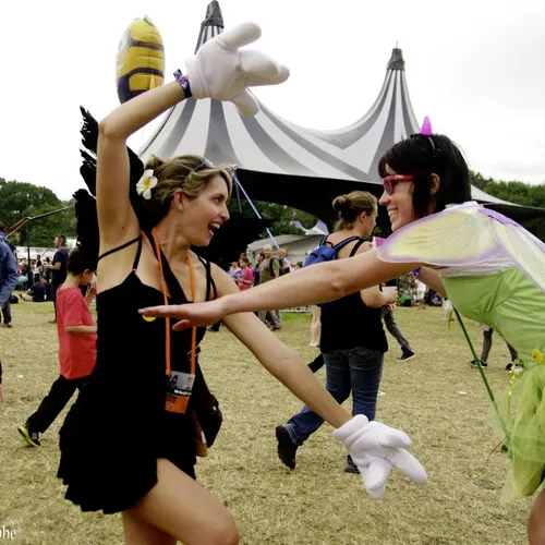 Vieilles Charrues 2014