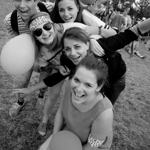 Vieilles Charrues 2014