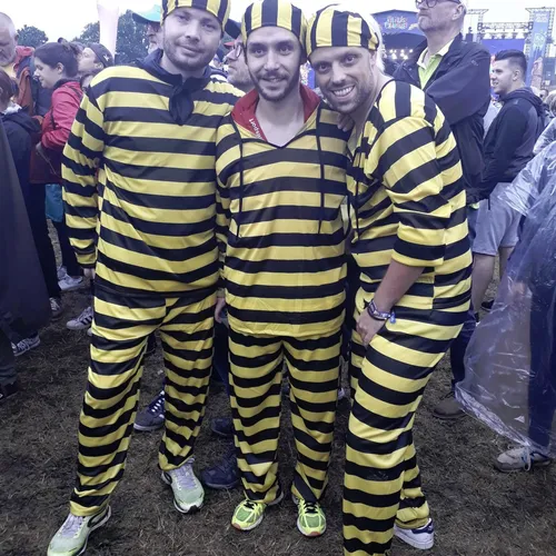 Vieilles Charrues 2019