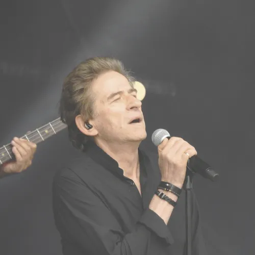 Vieilles Charrues 2019