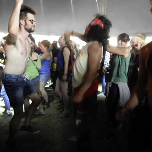 Vieilles Charrues 2019