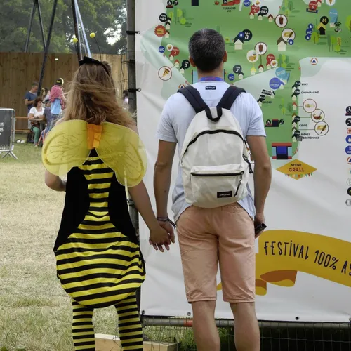 Vieilles Charrues 2019