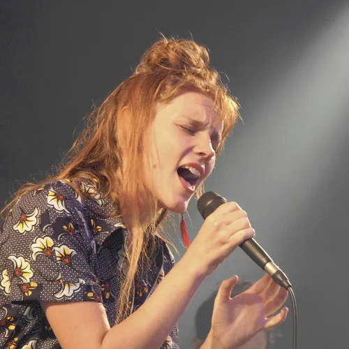 Vieilles Charrues 2019