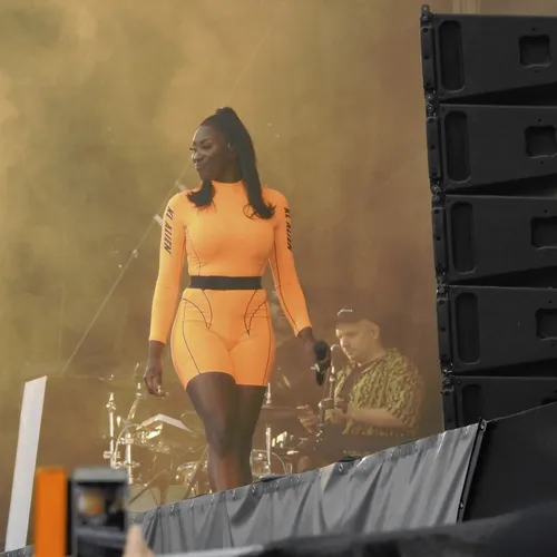 Vieilles Charrues 2019