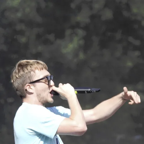 Vieilles Charrues 2019