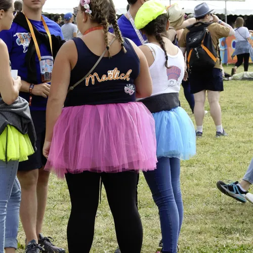 Vieilles Charrues 2019