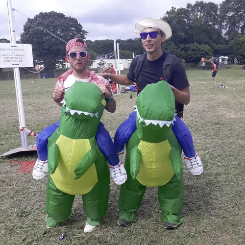 Vieilles Charrues 2019