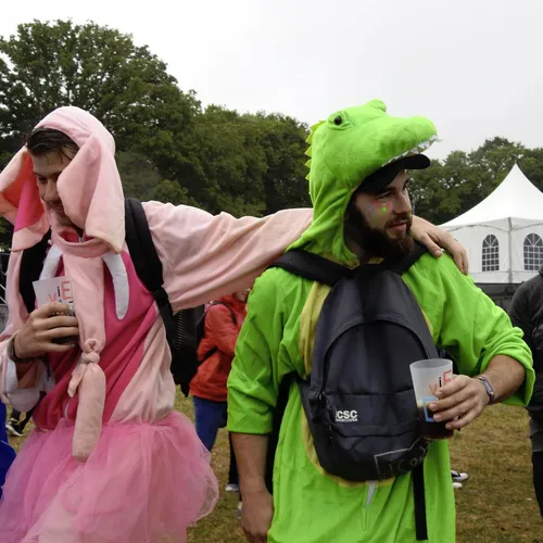 Vieilles Charrues 2019