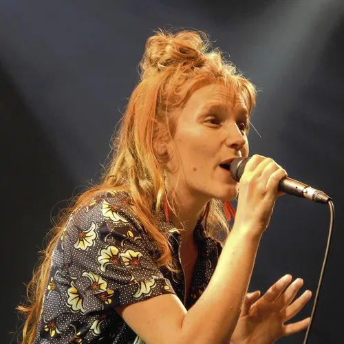 Vieilles Charrues 2019