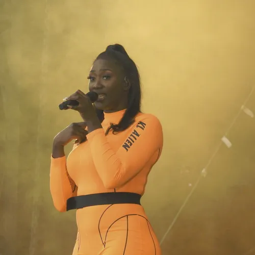 Vieilles Charrues 2019