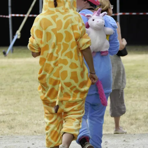 Vieilles Charrues 2019