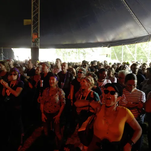 Vieilles Charrues 2019