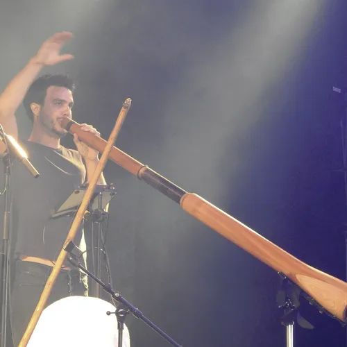 Vieilles Charrues 2019