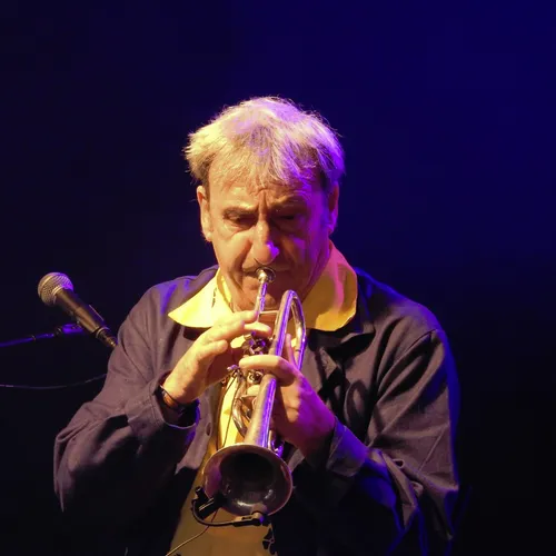 Vieilles Charrues 2019