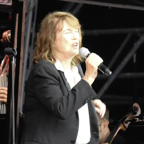 Vieilles Charrues 2019