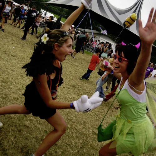 Vieilles Charrues 2014