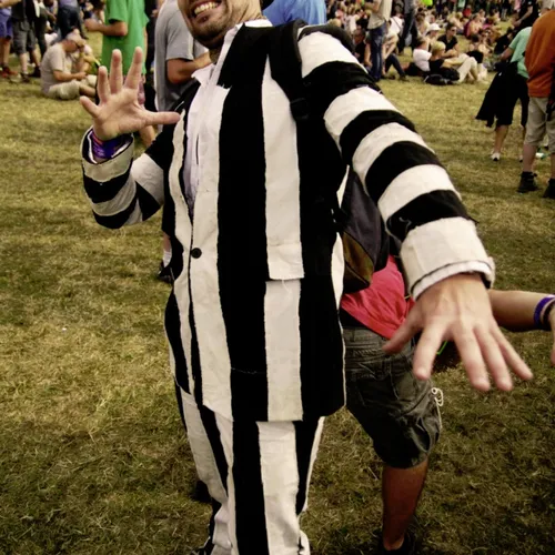 Vieilles Charrues 2014