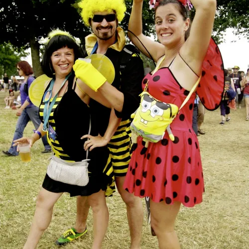 Vieilles Charrues 2014