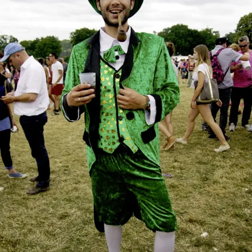 Vieilles Charrues 2014