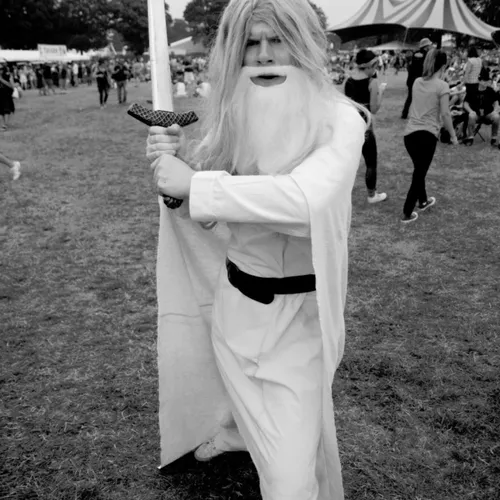 Vieilles Charrues 2014