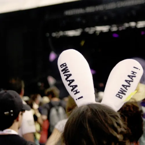 Vieilles Charrues 2014