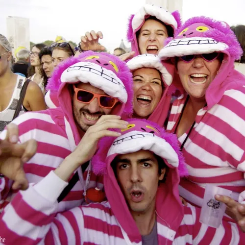 Vieilles Charrues 2014