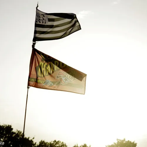 Vieilles Charrues 2014