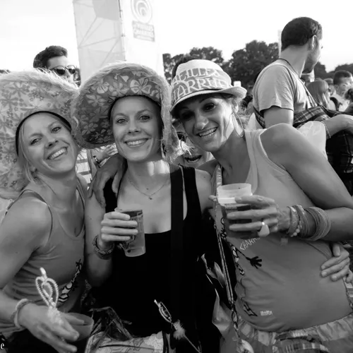 Vieilles Charrues 2014