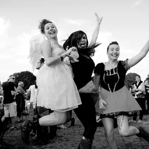 Vieilles Charrues 2014