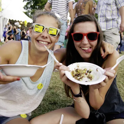 Vieilles Charrues 2014