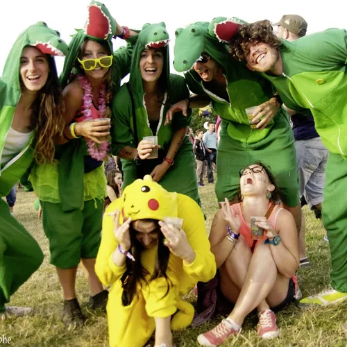 Vieilles Charrues 2014