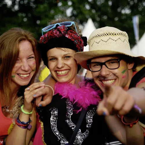 Vieilles Charrues 2014