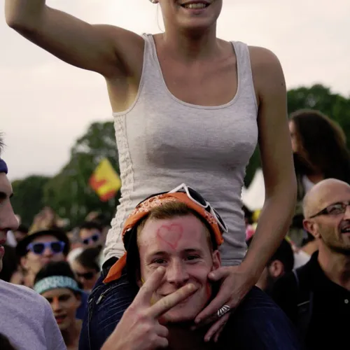 Vieilles Charrues 2014
