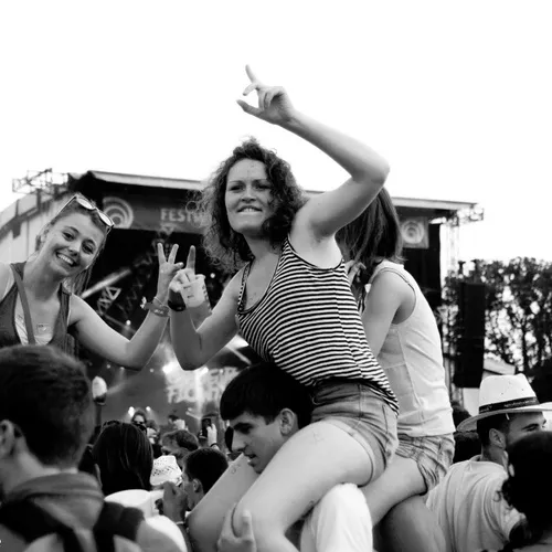 Vieilles Charrues 2014