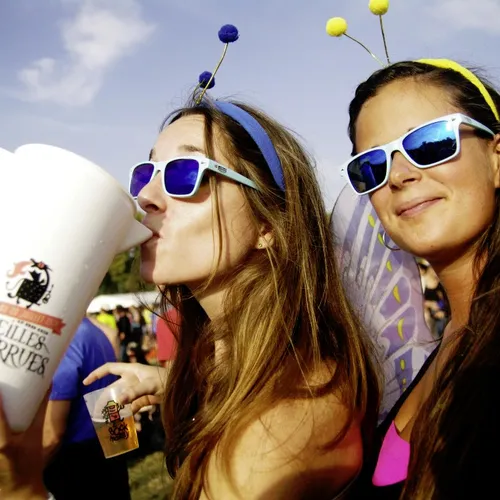 Vieilles Charrues 2014