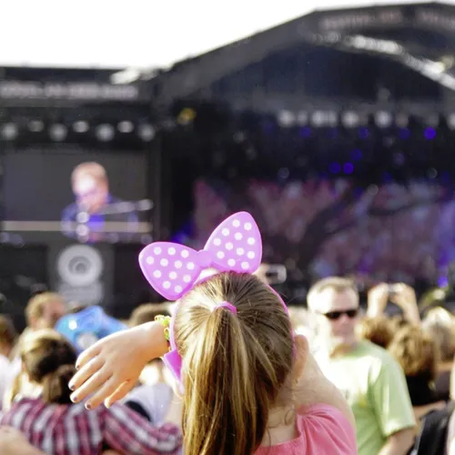Vieilles Charrues 2014