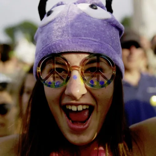 Vieilles Charrues 2014